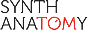 synthanatomy